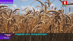 На счету хлеборобов Минской области почти 1 300 тысяч тонн зерновых