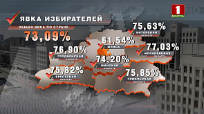 Явка на выборах в Беларуси составила 73 % - предварительные данные ЦИК