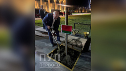 Александр Лукашенко высадил дуб на аллее ШОС в Самарканде