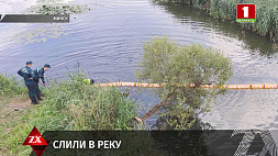 На реке Лошица в Минске обнаружено маслянистое пятно 