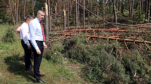 Дмитрий Крутой следит за устранением последствий урагана в Гомельской области
