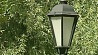 В парке имени Максима Горького неизвестные раскрасили пушкинские фонари