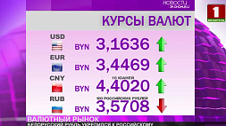 Курсы валют на 26 января: белорусский рубль укрепился к российскому