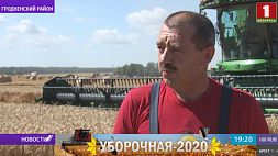 Белорусские аграрии приближаются к планке в 6 млн тонн намолота