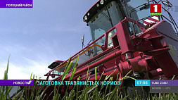 Аграрии Витебской области должны завершить первый укос трав  за две недели
