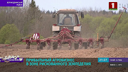 Сельхозпредприятие "Шайтерово" успешно реализует производственную цепочку от поля до прилавка