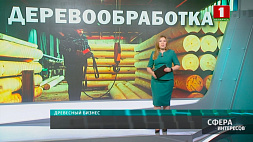 В Минске проходит международная специализированная выставка "Деревообработка-2021" 