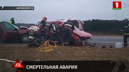 Сотрудники МЧС спасли водителя после ДТП в Дятловском районе
