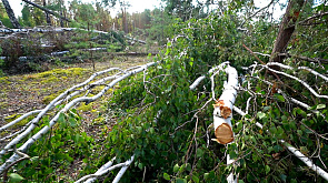 Какие выводы были сделаны при ликвидации последствий урагана в Беларуси 