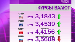 В Беларуси изменились курсы валют: что произошло с долларом и белорусским рублем