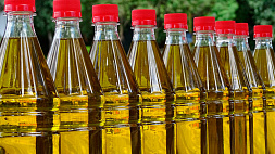 В Беларуси запретили к продаже одну из популярных марок подсолнечного масла