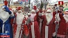 В Гомеле   состоялся парад новогодних волшебников и Снегурочек