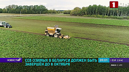 А. Субботин: Сев озимых в Беларуси должен быть завершен до 8 октября