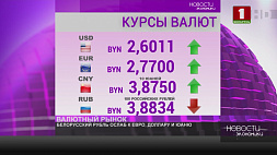 Курсы валют на 30 мая: белорусский рубль ослаб к евро, доллару и юаню