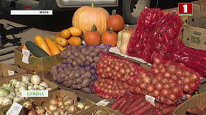 Осенние ярмарки | Продовольственная безопасность | Заготовка ранних сортов яблок | БелАЗ инвестирует в спорт