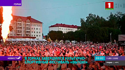 Фестиваль "Вытокі" в Горках - сколько выделили денежных средств на развитие спорта?