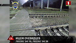В Осиповичах девушка попала под поезд, следователи ищут очевидцев ЧП