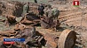 Детали танка Т-70 времен Великой Отечественной подняты после раскопок в Быховском районе 