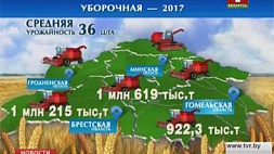 В Беларуси намолочено 6,5 миллиона тонн зерна