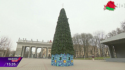 Новогодние елки устанавливают в разных районах Минска