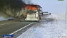 Пассажиры сгоревшего автобуса в Казахстане могли развести в салоне огонь, чтобы согреться