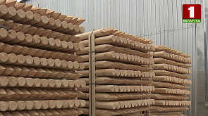 Беларусь в октябре поставила рекорд по экспорту древесины