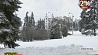 В Беларуси сохранится морозная погода