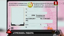 В Гродно судебные эксперты подтвердили факт подделки водительского удостоверения