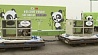 Две гигантские панды прибыли в Южную Корею