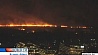 В Буэнос-Айресе пожар уничтожил большую часть экологического заповедника