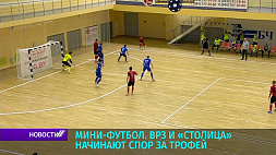 ВРЗ и "Столица" начинают спор за трофей финальной серии чемпионата Беларуси по мини-футболу