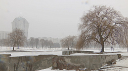 До 2 градусов тепла и мокрый снег - в Беларусь 10 января пришло временное потепление