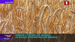 Намолот в 1 миллион тонн зерна на счету аграриев Минской области