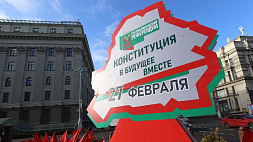 В Беларуси проходит референдум по Конституции