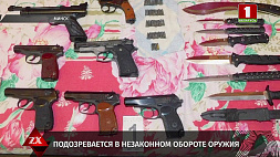 Предприниматель из Минска подозревается в незаконном обороте оружия