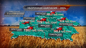 Уборочная кампания - 2024: узнали, насколько потяжелел белорусский каравай