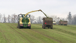Аграрии Минской области завершают уборку кукурузы и пятый укос трав