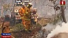 Сильные лесные пожары бушуют на юго-востоке Австралии