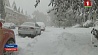 Небывалый снегопад в Калгари привел к сотням ДТП