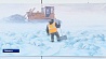 Снеговик в космосе и НЛО на полях Беларуси. Выставка Александра Бельского во Дворце искусств