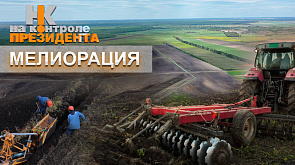 Мелиорация и повышение плодородия почвы. Как Лукашенко спас отрасль?