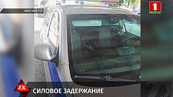В Минском районе нетрезвый водитель и его знакомые оказали сопротивление наряду ГАИ
