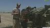 Иракским военным удалось занять город Эль-Фаллуджа