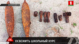 В Малоритском районе мужчина обнаружил в лесу мины времен Великой Отечественной войны