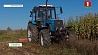 Фермер из Сморгонского района получил европейский сертификат на выращивание экопродуктов 