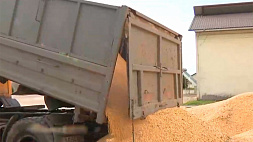 Крупная кража кукурузы: 17 тонн зерна пытались вывезти в Копыльском районе