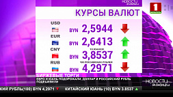 Курсы валют на утро 8 августа: доллар и российский рубль подешевели