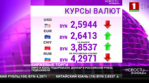 Курсы валют на утро 8 августа: доллар и российский рубль подешевели
