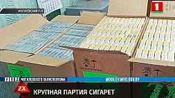 В Могилевском районе задержана партия сигарет стоимостью 2000 рублей