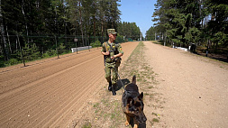 Эксперты прогнозировали: учения ОДКБ Запад может использовать  для новых провокаций на границе с Беларусью